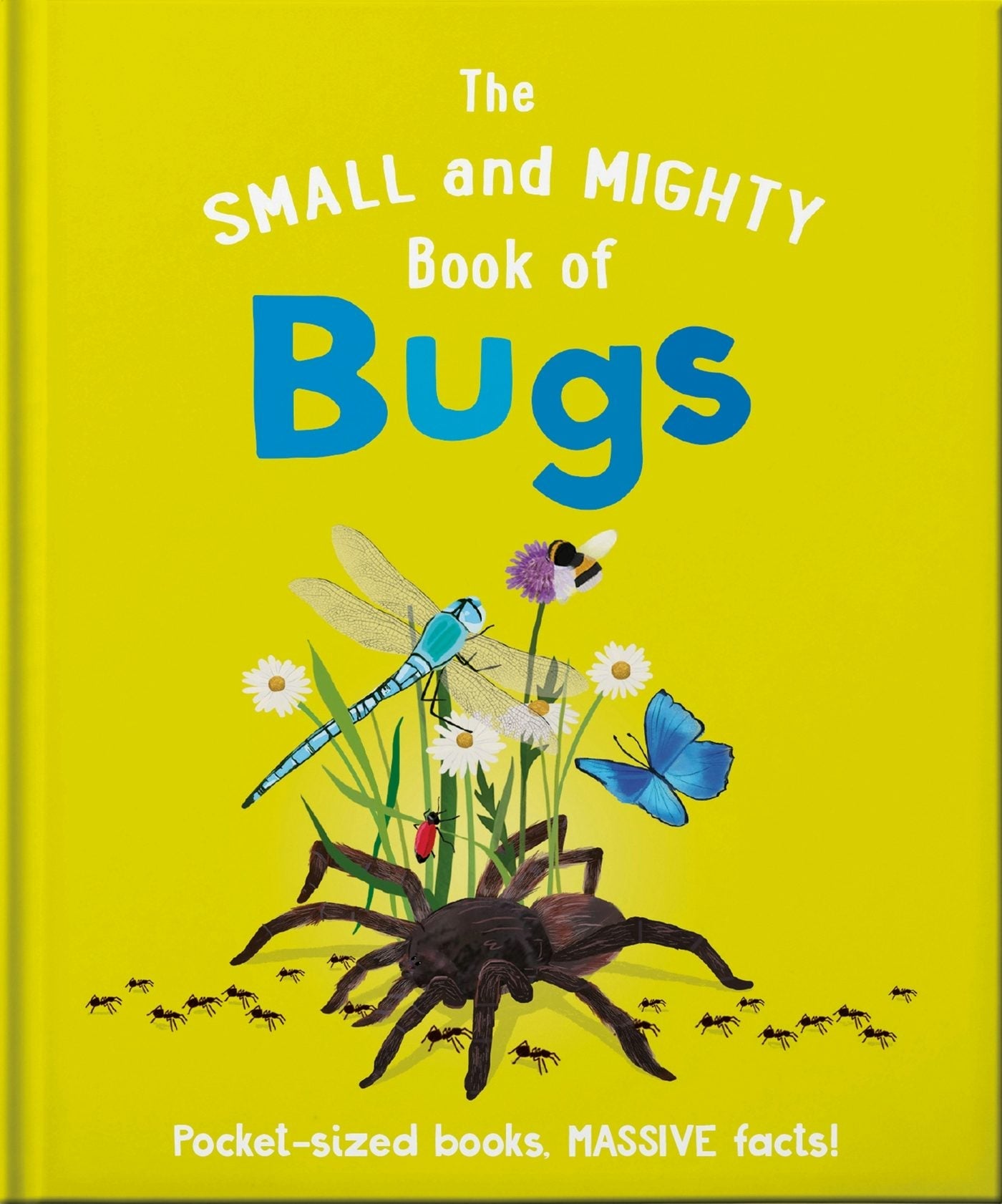 Book cover image for The Small and Mighty Book of Bugs ISBN: 9781839351921